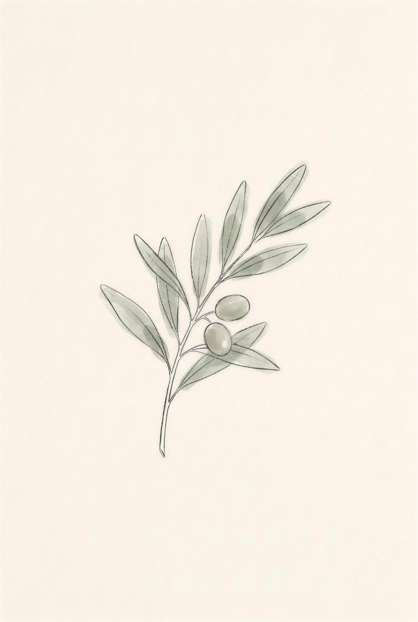Olive Stem — part of the Warm Minimal Trio