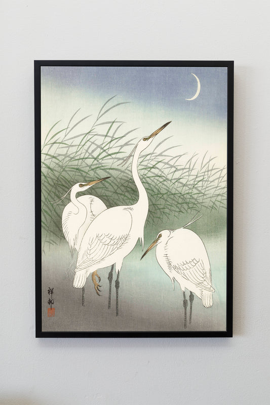 Herons in shallow water by Ohara Koson Japanese Art Print Poster Wall Hanging Decor A4 A3 A2