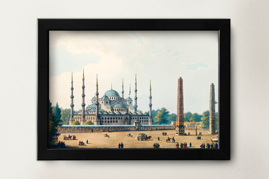 Blue Mosque Istanbul Turkey Poster Print Wall Hanging Decor