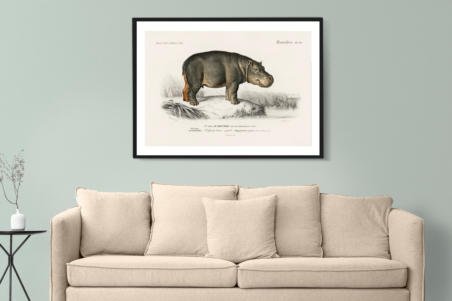 Hippopotamus Poster Wall Hanging Decor