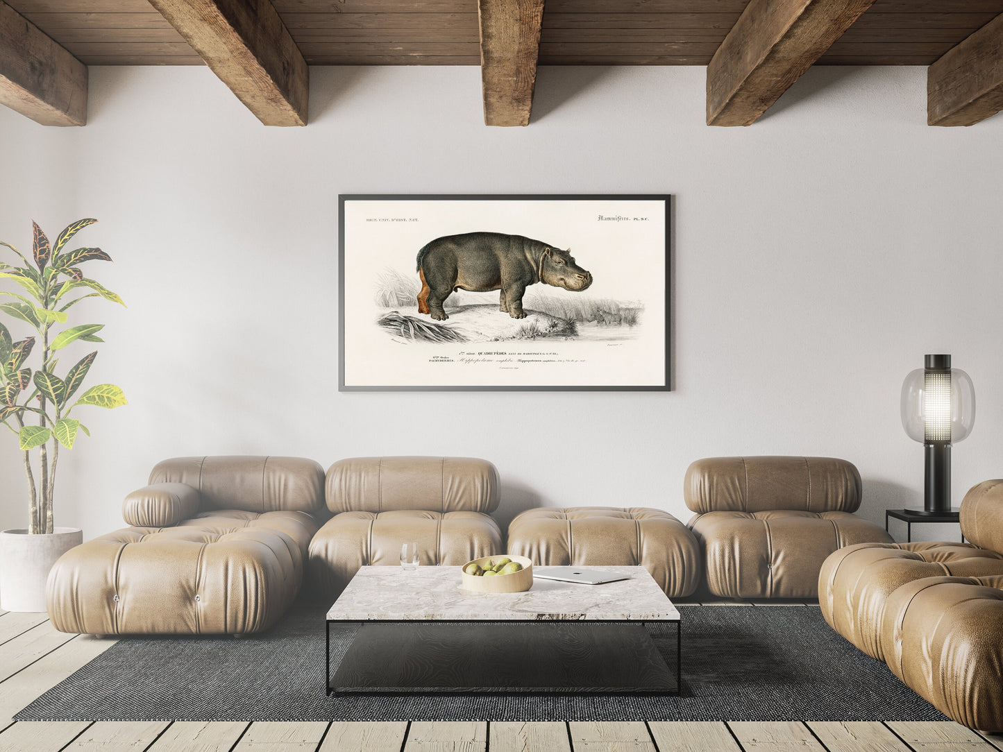 Hippopotamus Poster Wall Hanging Decor