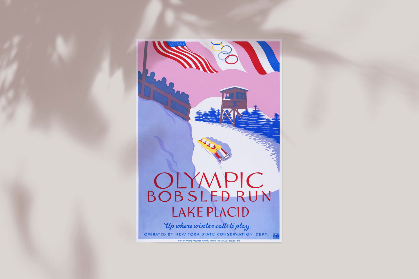 Olympic Lake Placid Bobsled Poster Print Wall Hanging Decor