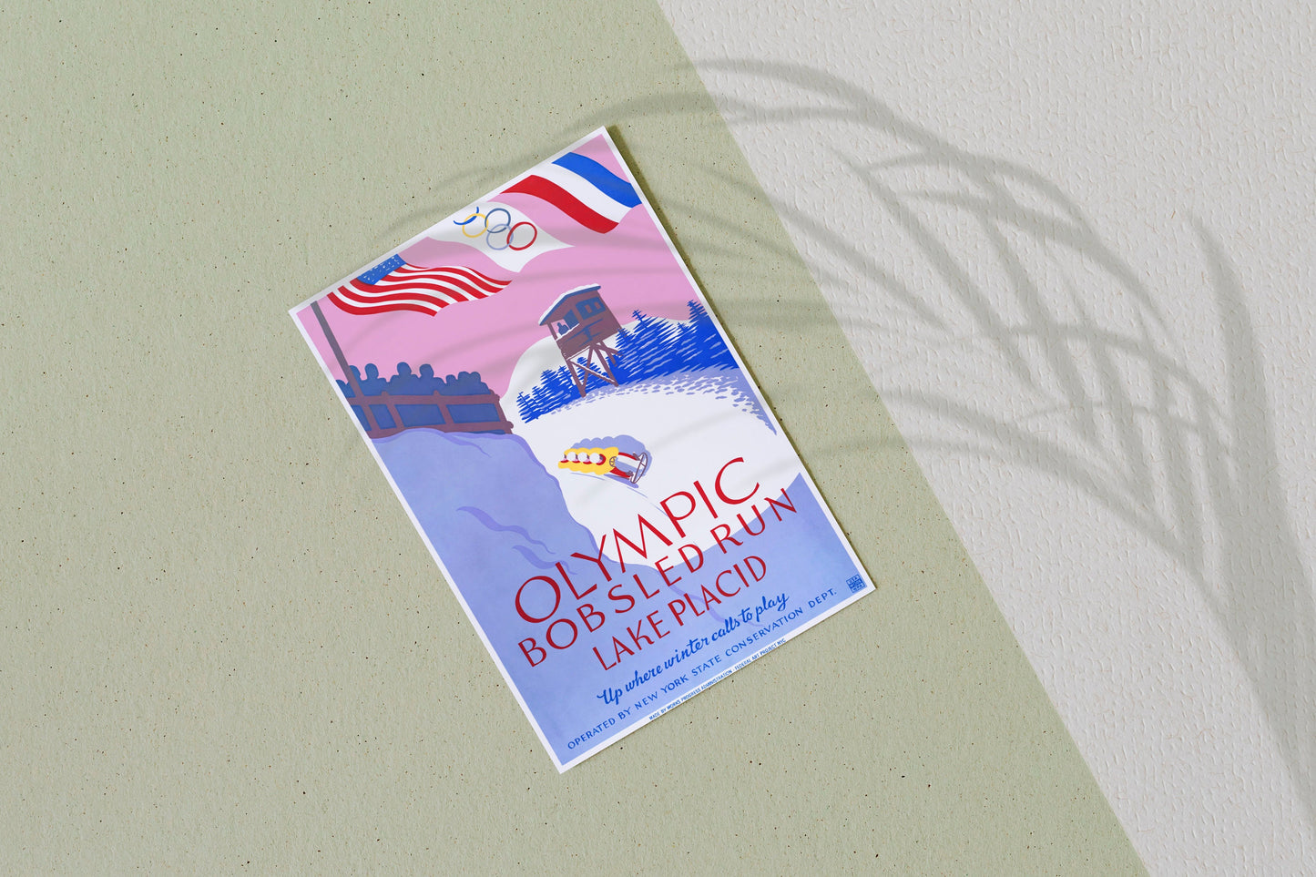 Olympic Lake Placid Bobsled Poster Print Wall Hanging Decor