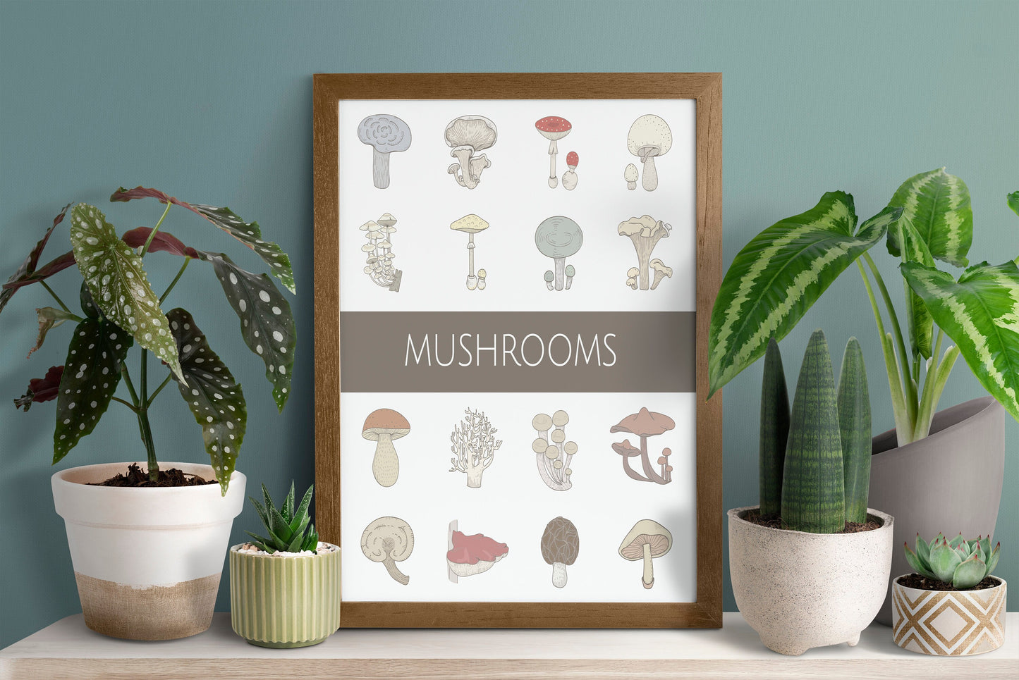 Variety of Mushrooms Fungi Vector Poster Illustration Print Wall Hanging Decor