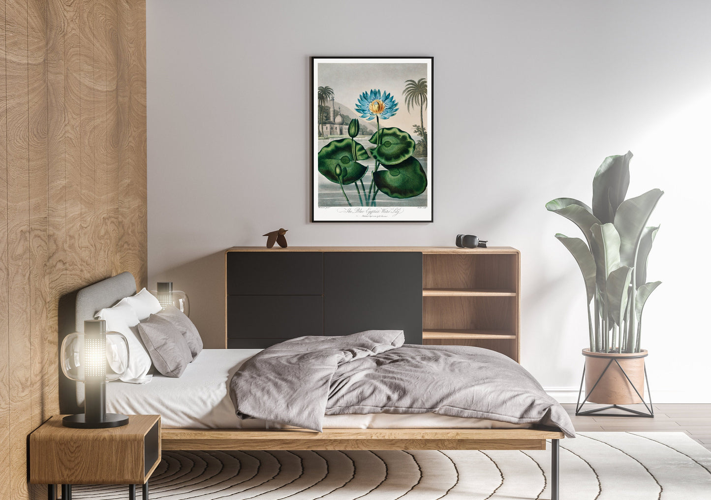 The Blue Egyptian Water Lily Plant Flower Botanical Poster Print Wall Hanging Decor