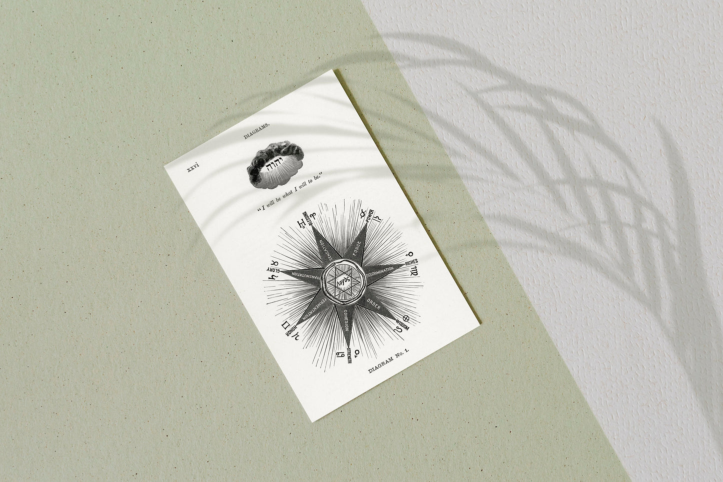 Astrology Diagram with Inspirational Quote Poster Illustration Print Wall Hanging Decor A4 A3 A2