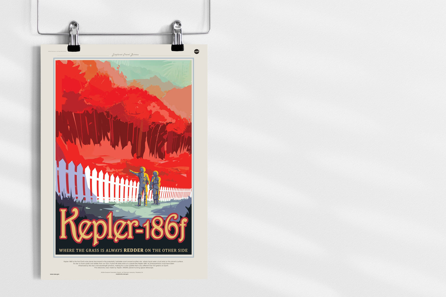 Kepler-186f Visions of the Future NASA Space Astronomy Poster Illustration Print Wall Hanging Decor