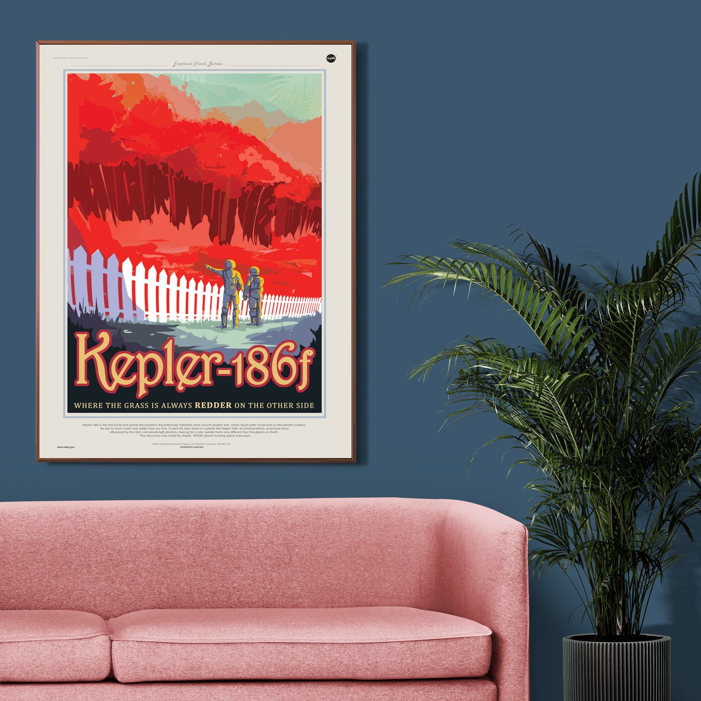 Kepler-186f Visions of the Future NASA Space Astronomy Poster Illustration Print Wall Hanging Decor