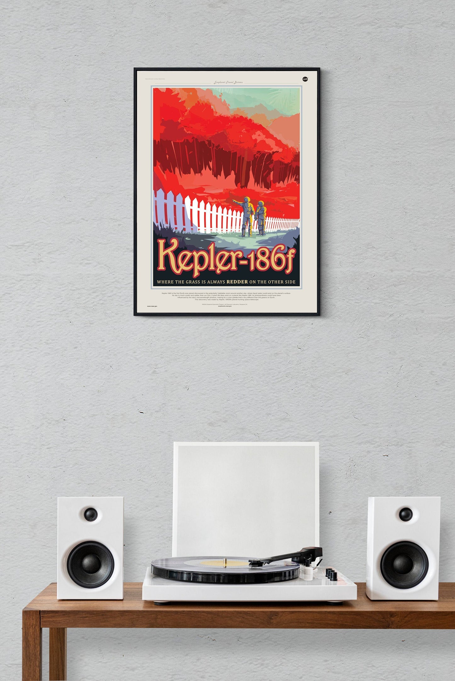 Kepler-186f Visions of the Future NASA Space Astronomy Poster Illustration Print Wall Hanging Decor