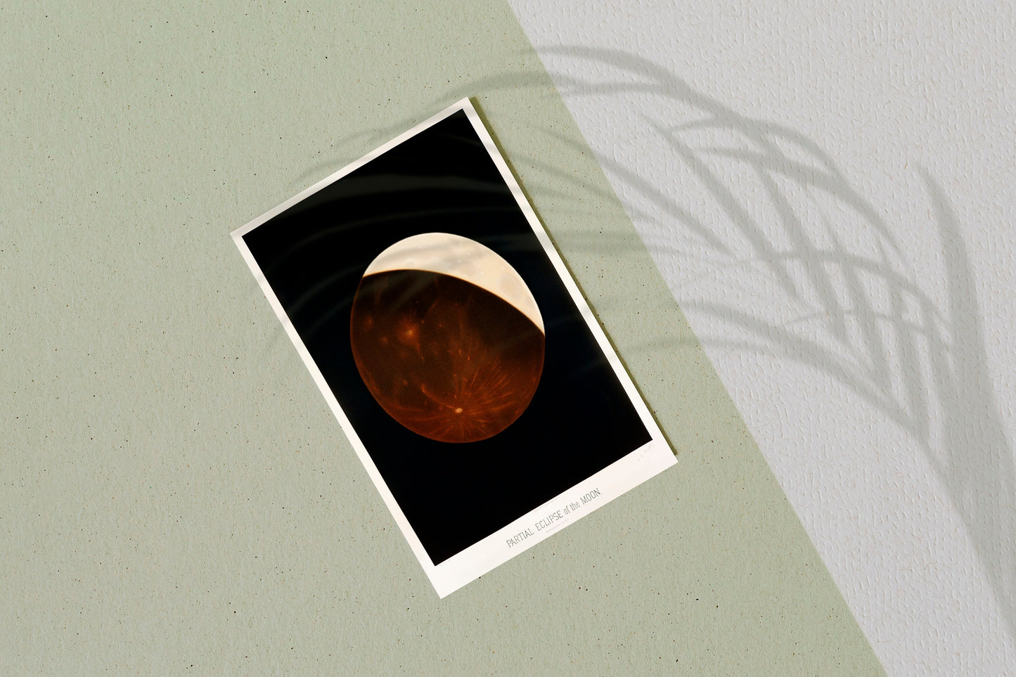 Partial Eclipse of the Moon Astronomy Poster Print Wall Hanging Decor