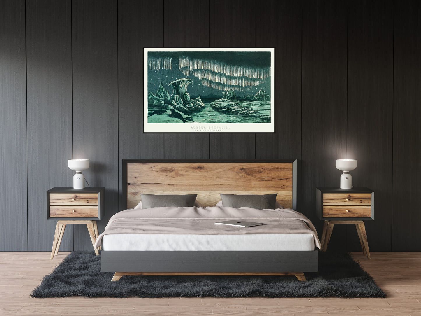 Polar lights in the night sky Poster Print Wall Hanging Decor