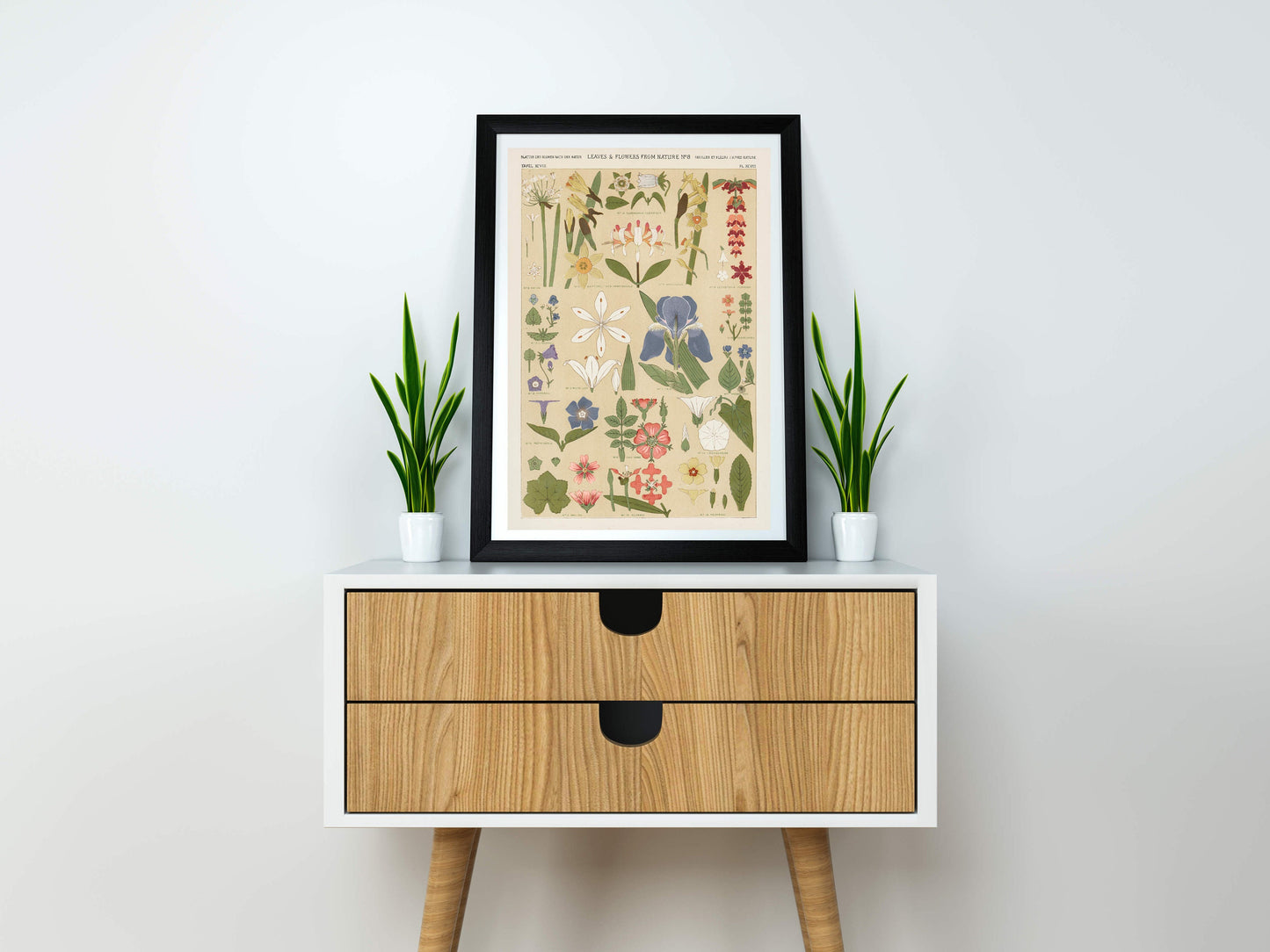 Leaves and Flowers Illustration Print Poster Wall Hanging Decor