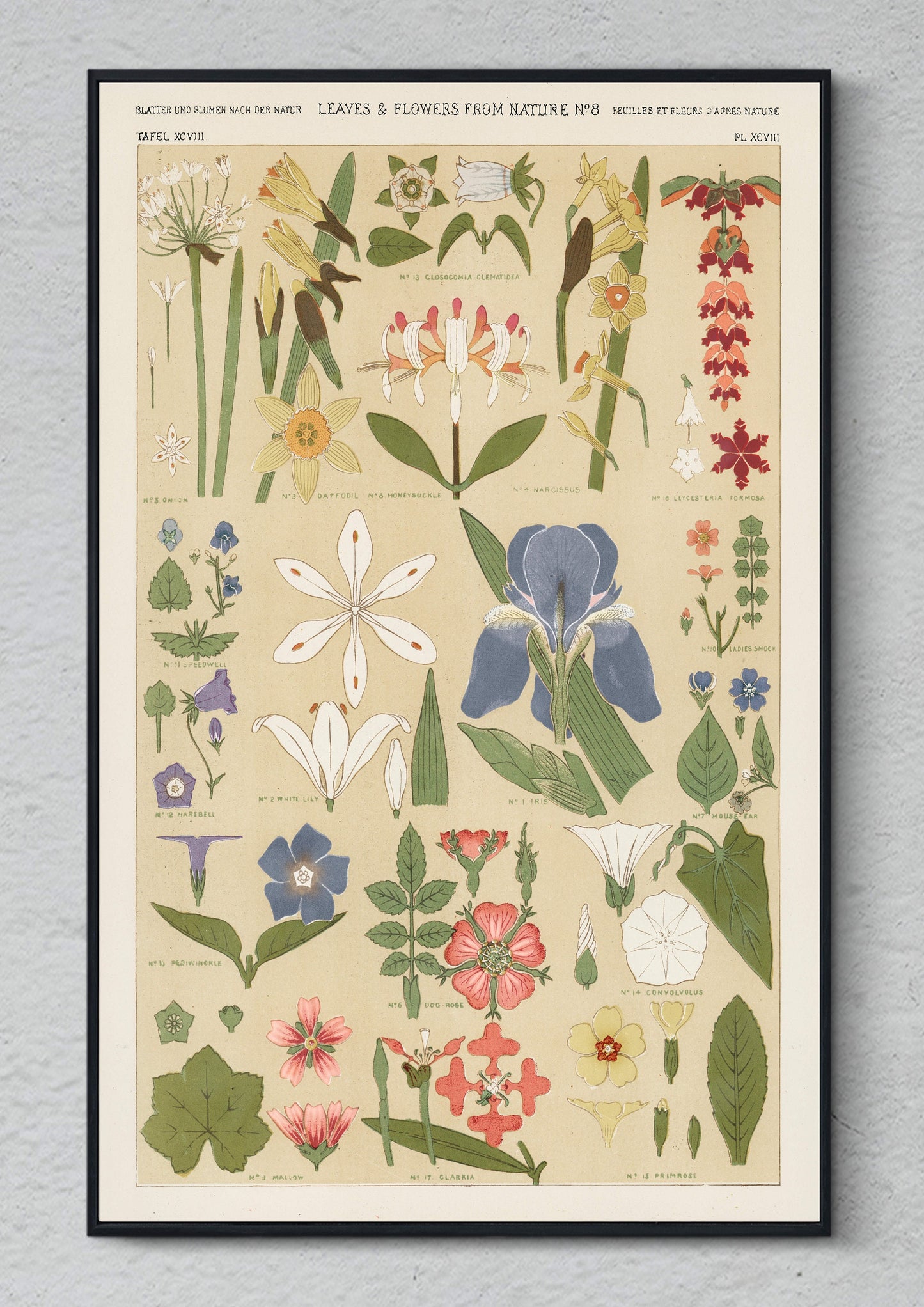 Leaves and Flowers Illustration Print Poster Wall Hanging Decor