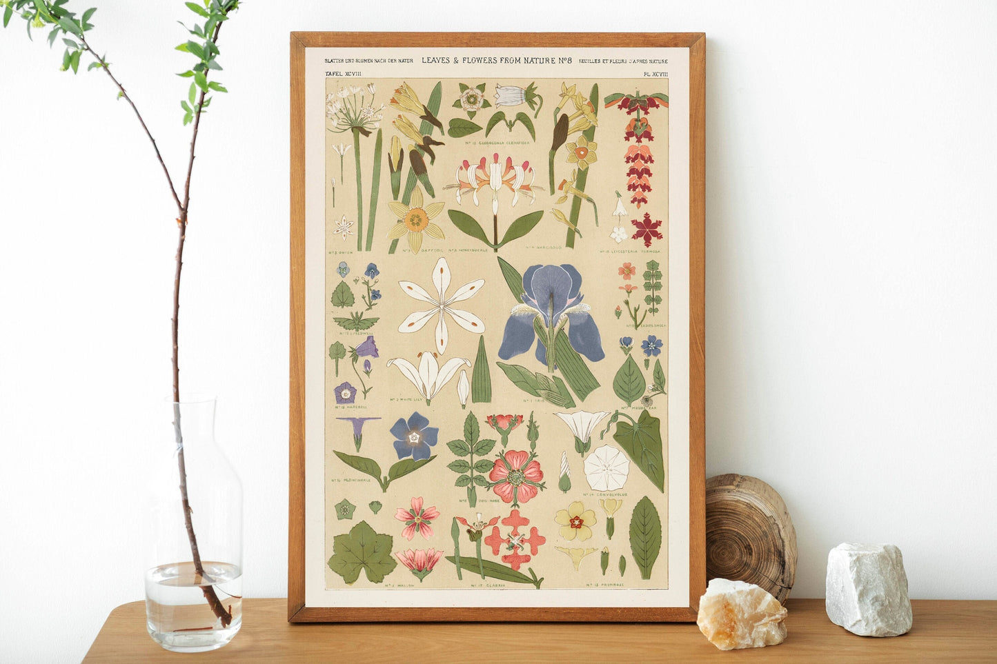 Leaves and Flowers Illustration Print Poster Wall Hanging Decor