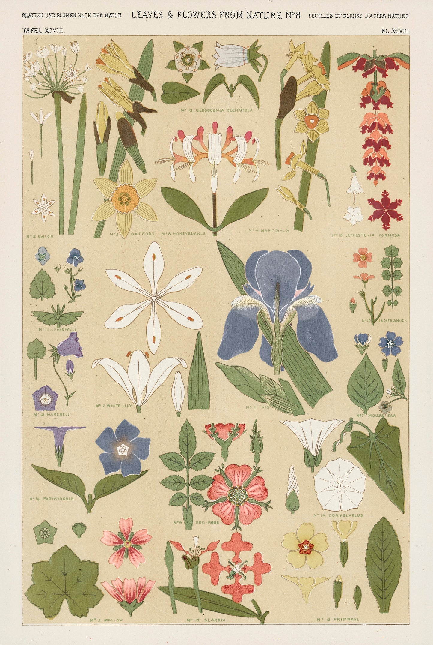 Leaves and Flowers Illustration Print Poster Wall Hanging Decor