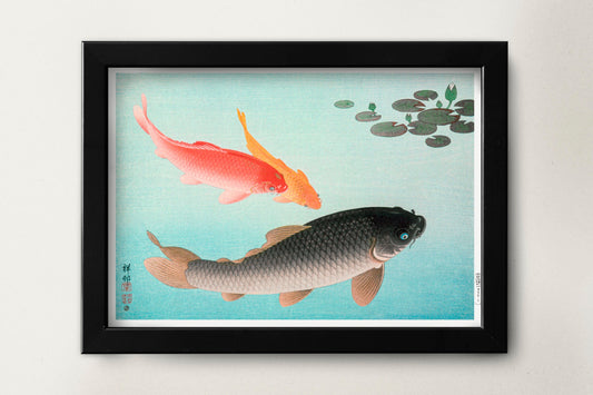 Common and Golden Carp by Ohara Koson Japanese Art Print Poster Wall Hanging Decor A4 A3 A2