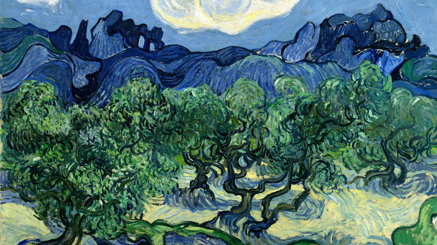 The Olive Trees by Vincent Van Gogh Poster Illustration Print Wall Hanging Decor A4 A3 A2