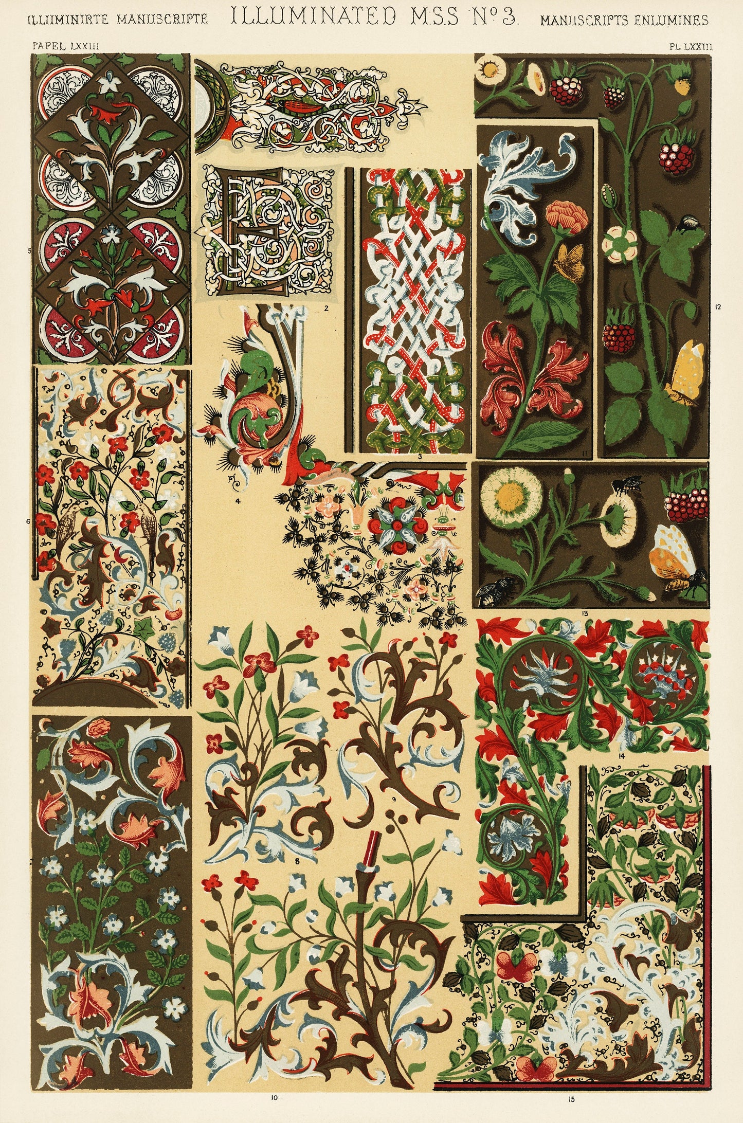 Abstract Floral Pattern Illustration by Owen Jones Poster Print Wall Hanging Decor A4 A3 A2