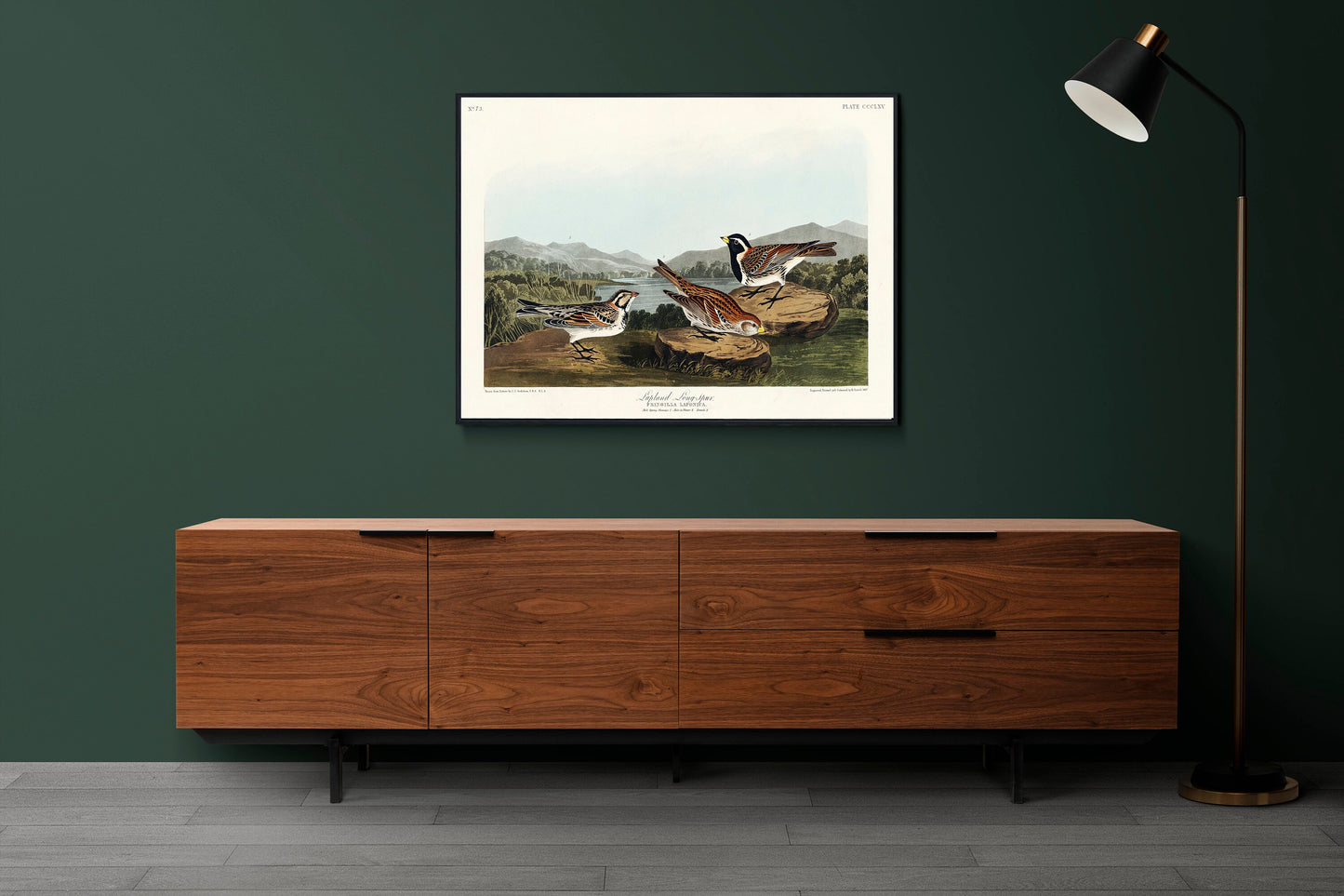 Lapland Long-spur from Birds of America by John James Audubon Poster Print Illustration Wall Hanging Decor A4 A3 A2