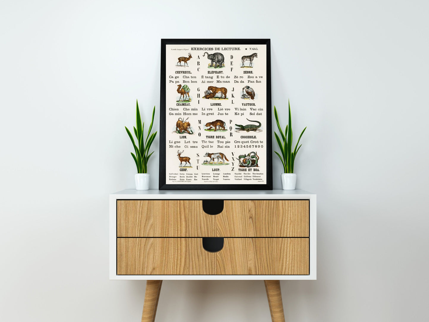 Alphabet Animals in French Illustration Poster Print Wall Hanging Decor A4 A3 A2