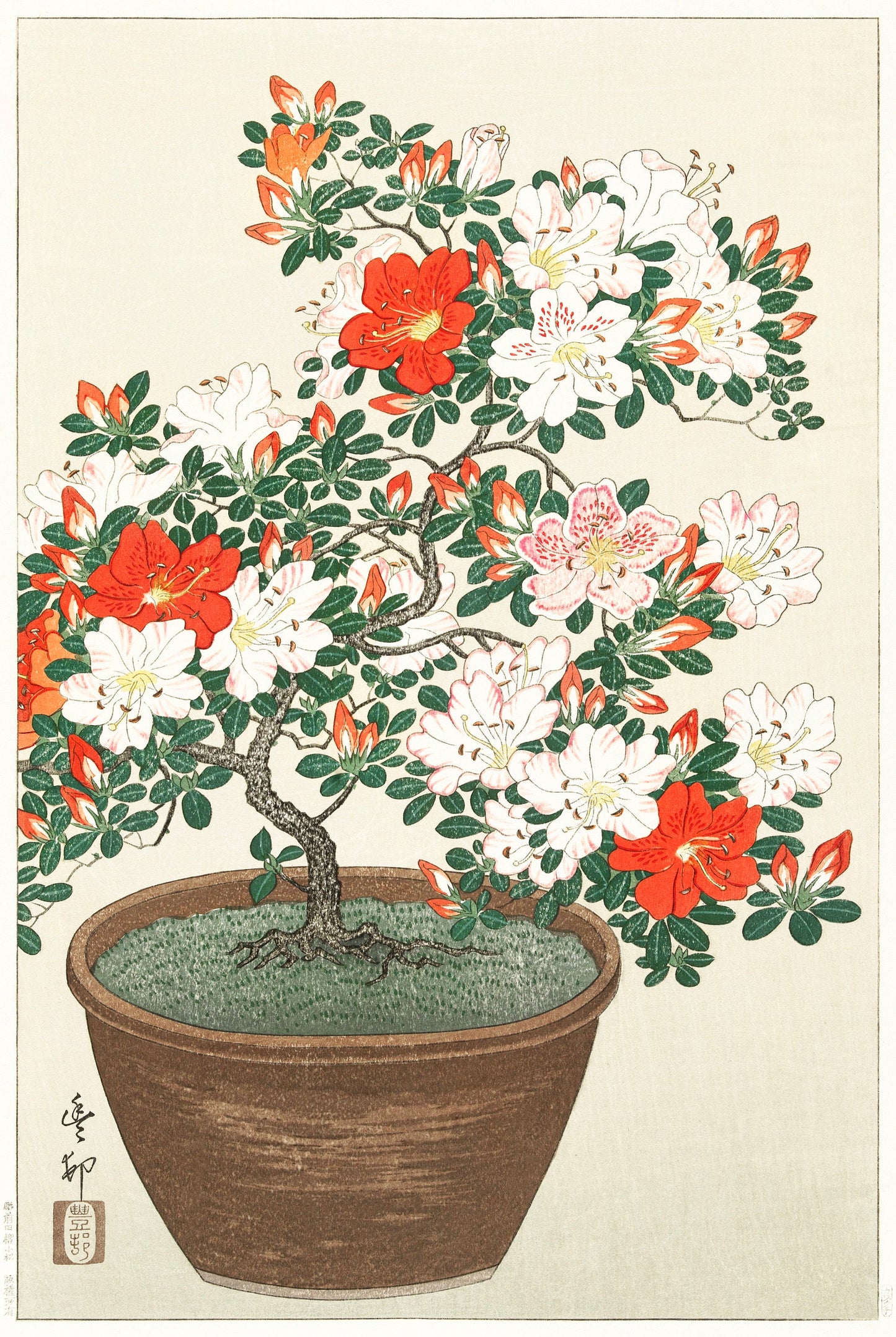 Blooming azalea in brown pot by Ohara Koson Japanese art Poster Illustration Print Wall Hanging Decor A4 A3 A2