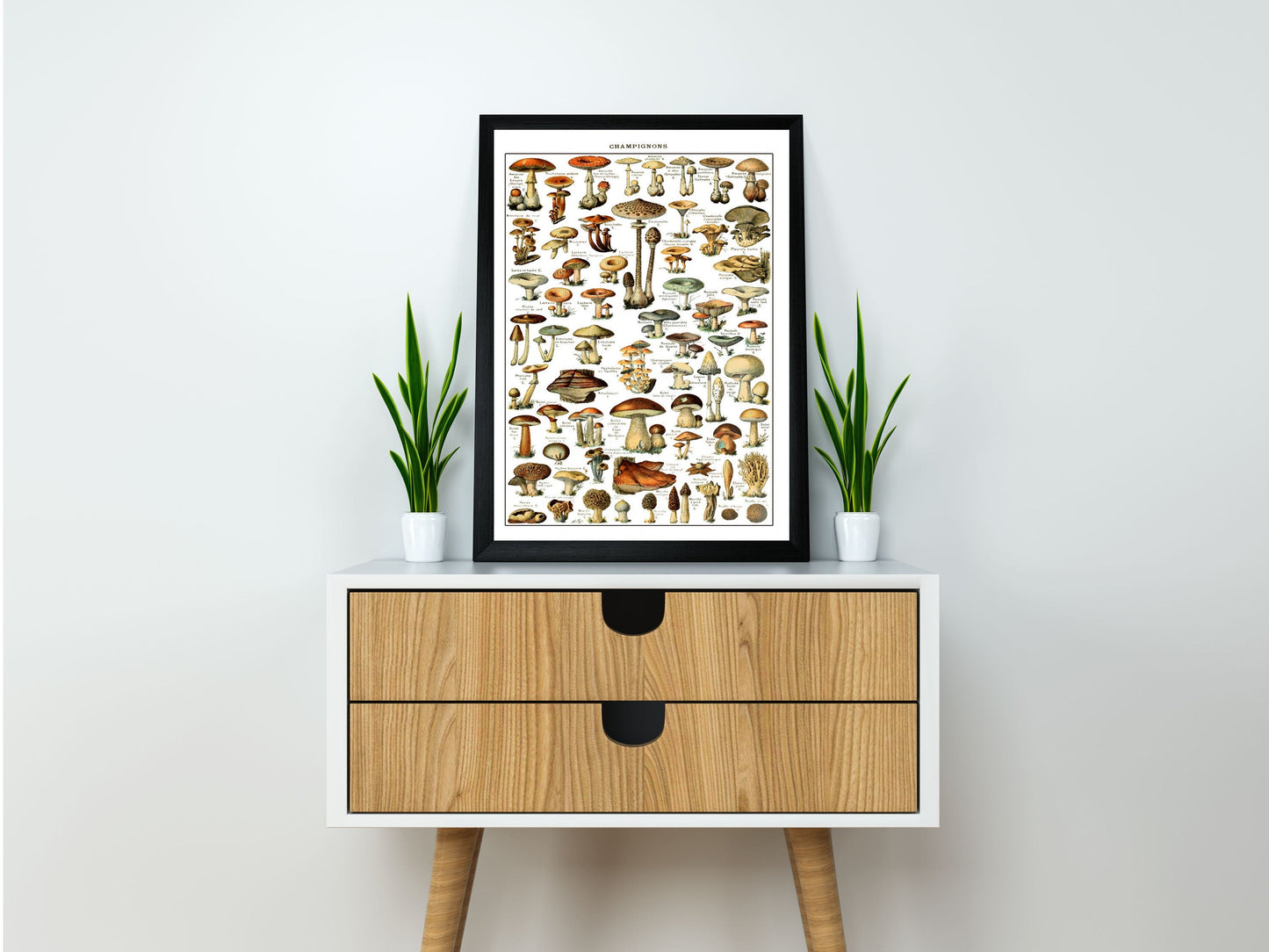 Mushrooms Prints Fungi Art Chart of Mushroom varieties Illustration Adolphe Milot Poster Print Wall Hanging Decor A4 A3 A2