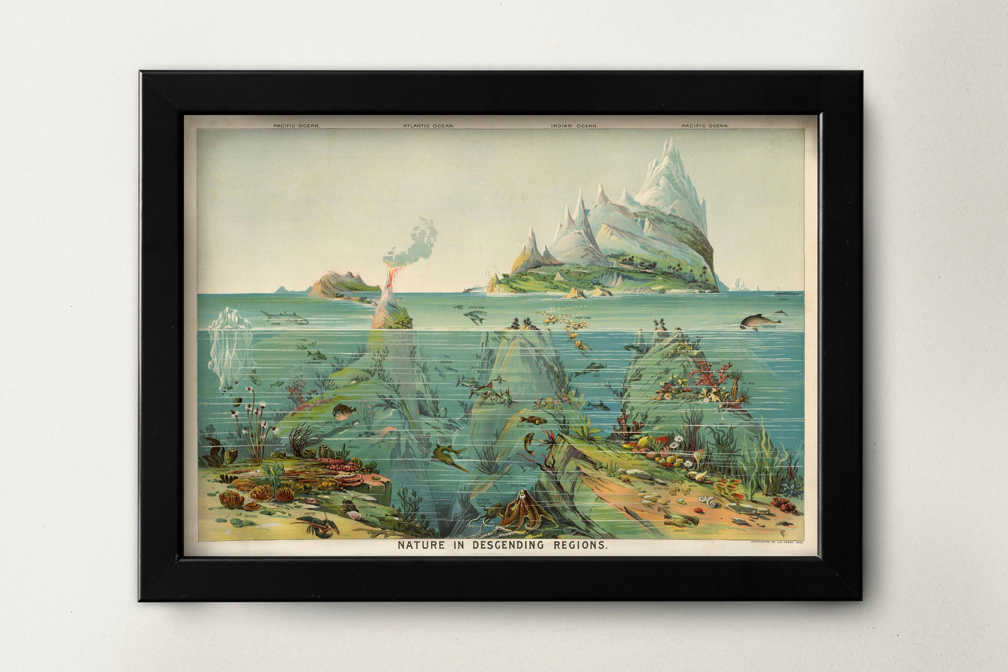 Nature in Descending Regions by Levi Walter Yaggy | Vintage Geography Print | Science Classroom Decor | Kids Educational Wall Art | Poster