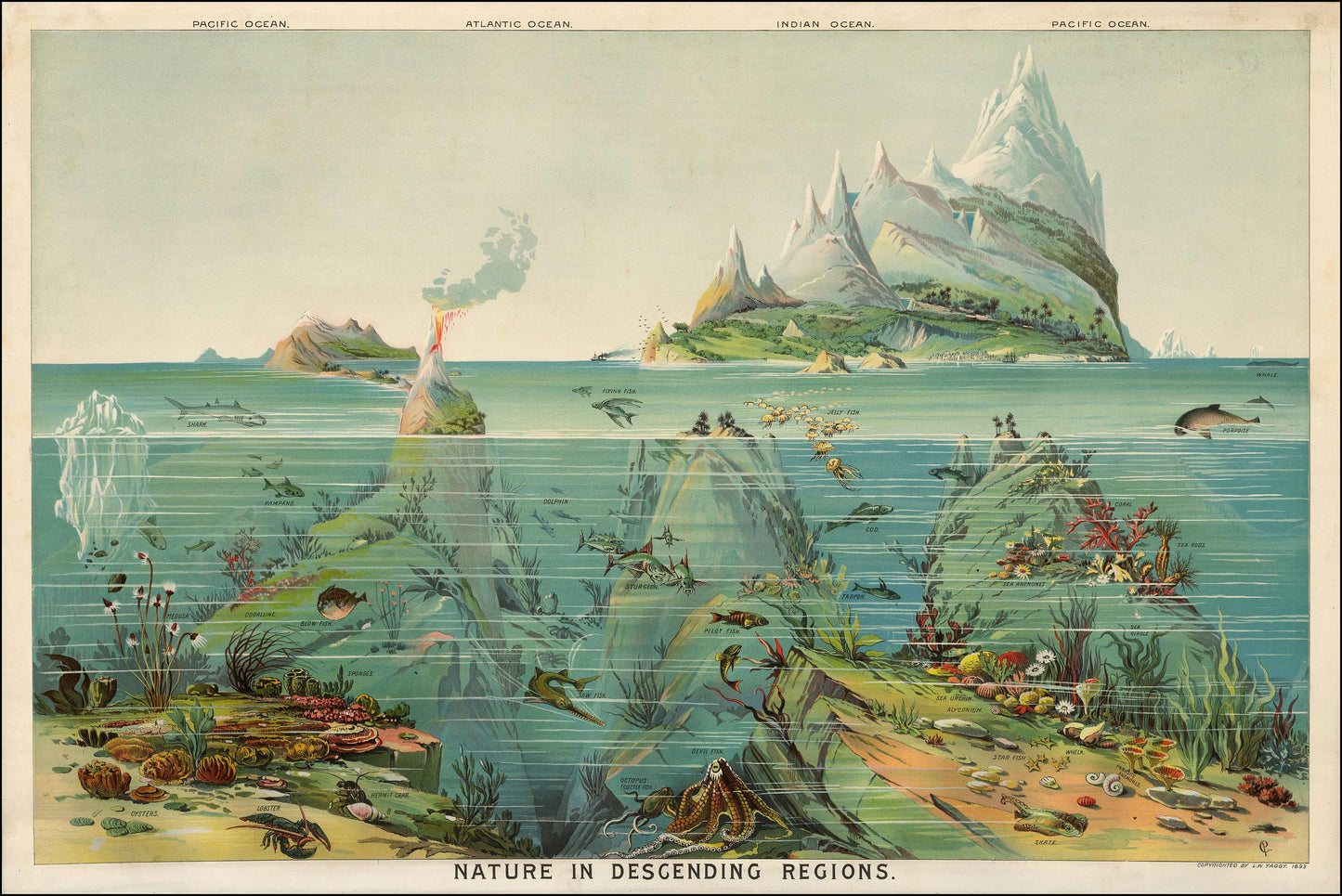 Nature in Descending Regions by Levi Walter Yaggy | Vintage Geography Print | Science Classroom Decor | Kids Educational Wall Art | Poster