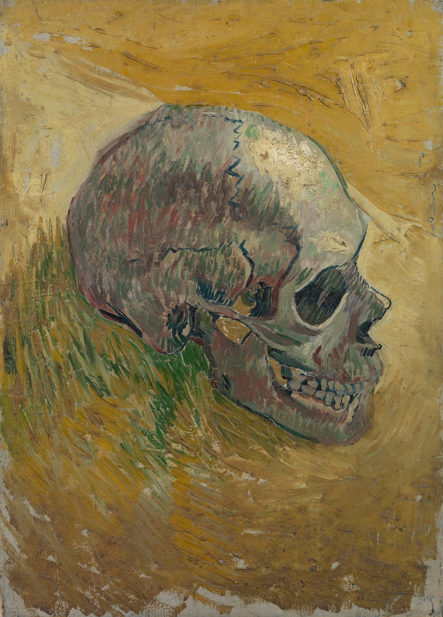 a painting of a skull laying in the grass