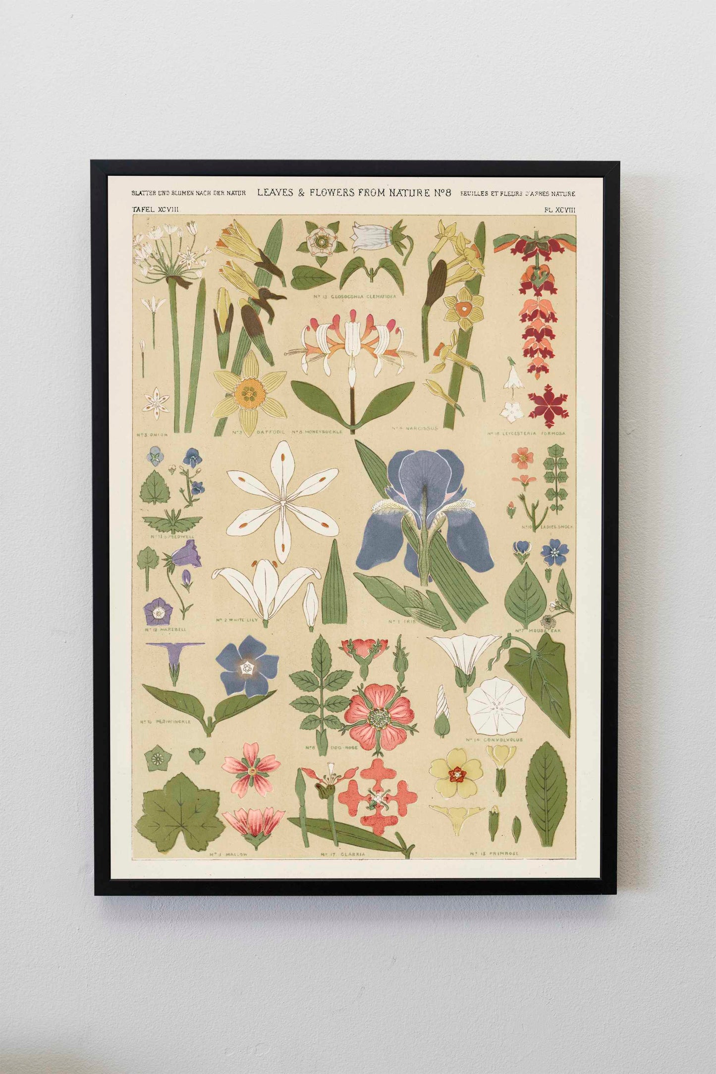 Leaves and Flowers Illustration Print Poster Wall Hanging Decor