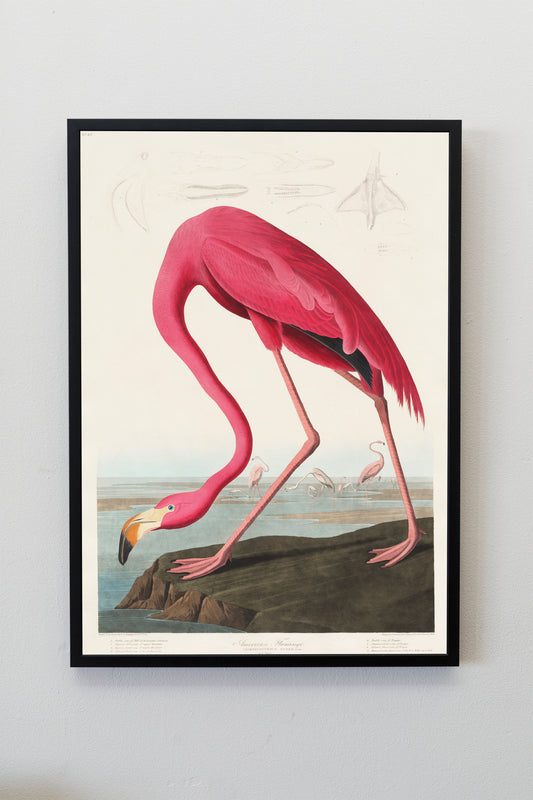 Pink Flamingo Bird Poster Print Wall Hanging Decor