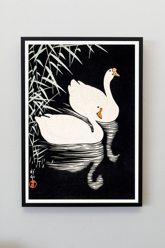 White Chinese Geese Swimming by Reeds by Ohara Koson Japanese Art Print Poster Wall Hanging Decor A4 A3 A2