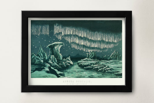 Polar lights in the night sky Poster Print Wall Hanging Decor