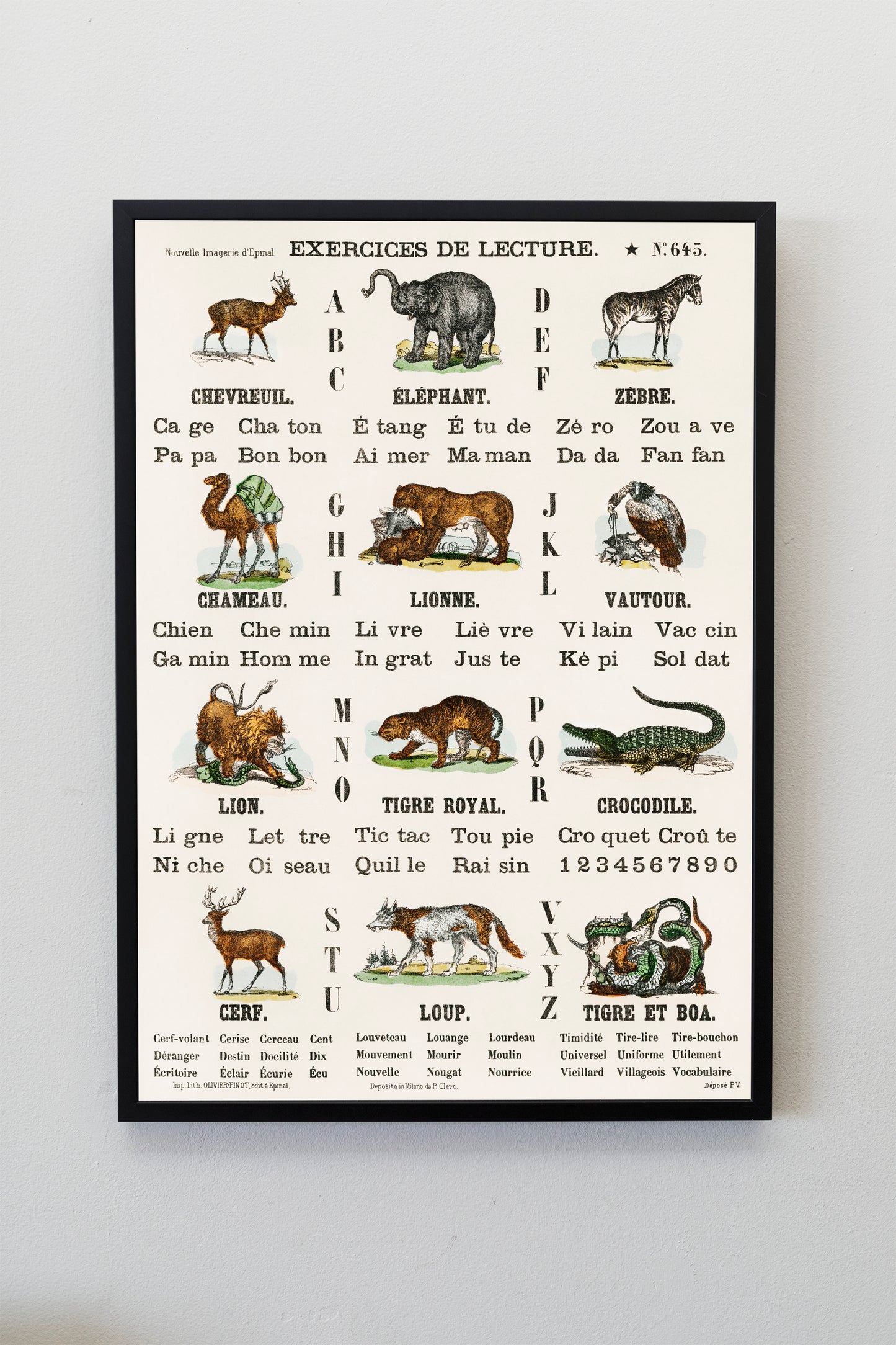 Alphabet Animals in French Illustration Poster Print Wall Hanging Decor A4 A3 A2
