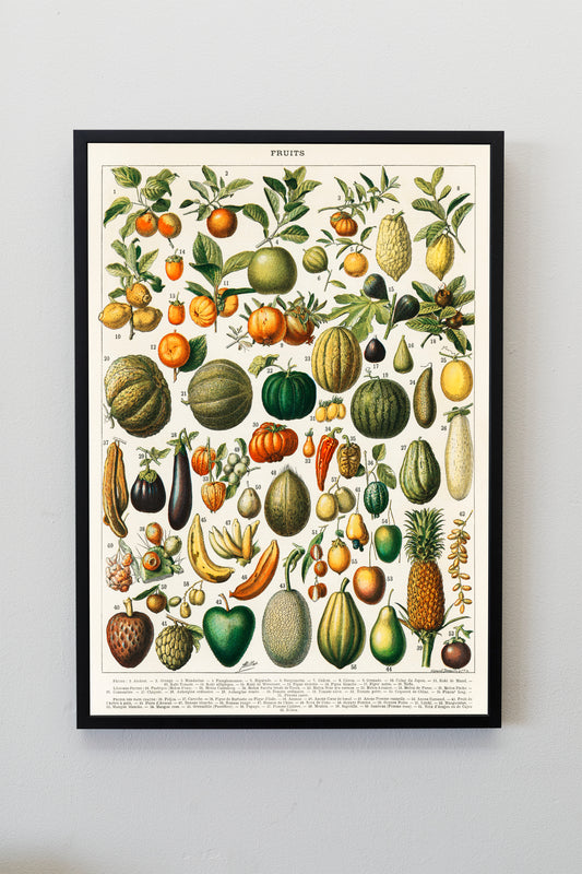 A vintage illustration of a wide variety of fruits and vegetables Chart Guide Print Poster Wall Hanging Decor