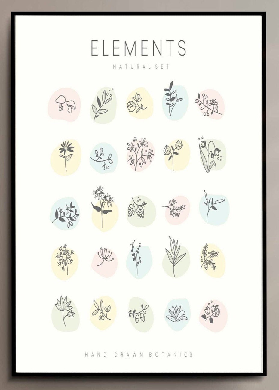 Set of hand drawn botanical elements illustration Poster Wall Hanging Decor