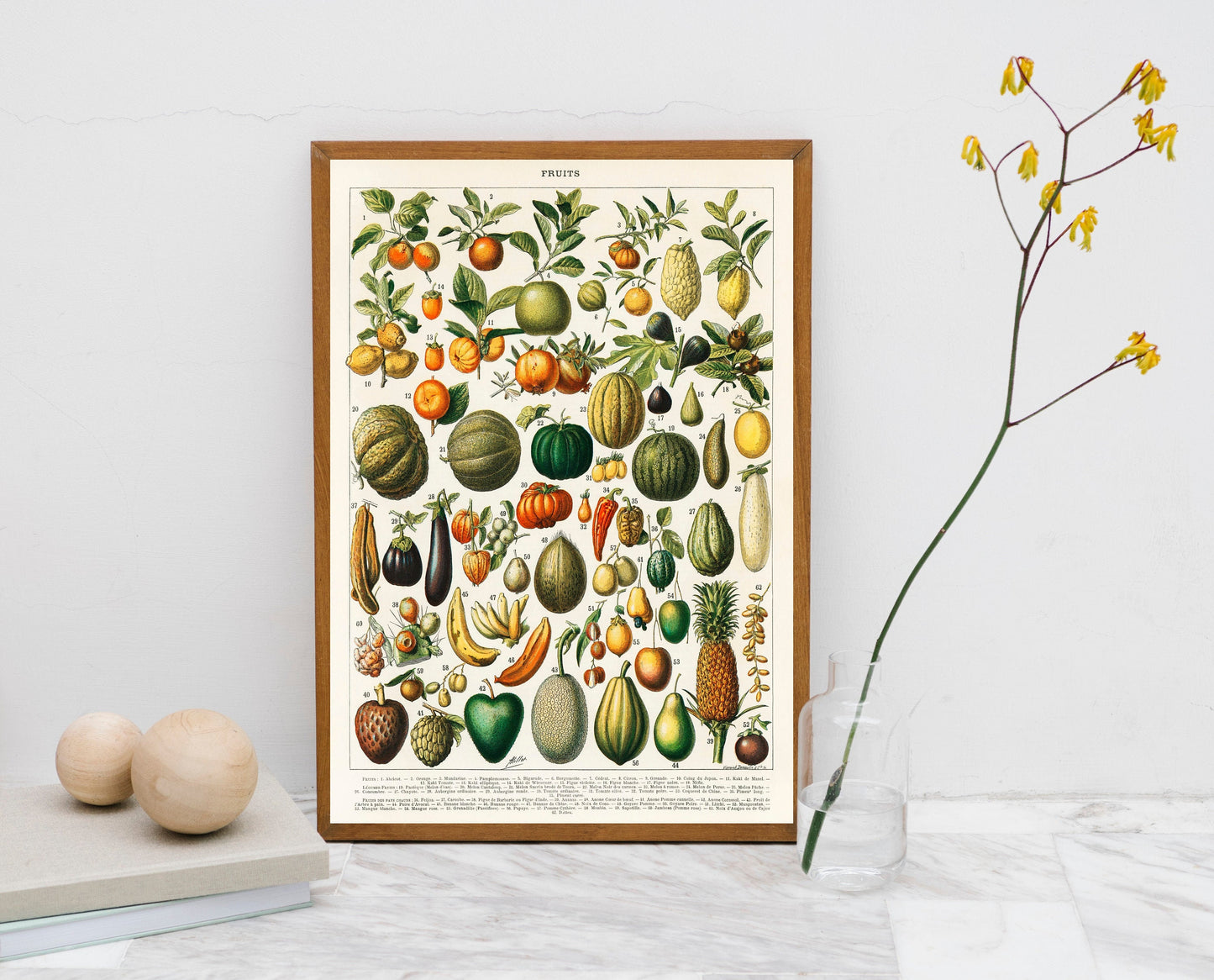 A vintage illustration of a wide variety of fruits and vegetables Chart Guide Print Poster Wall Hanging Decor