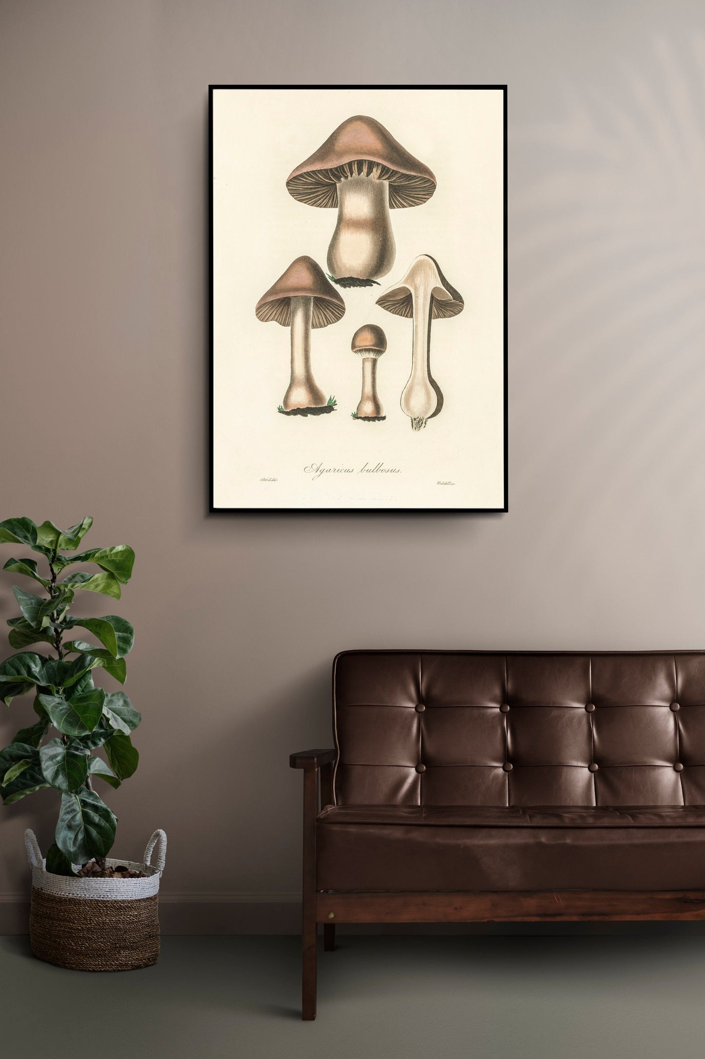 Mushroom Fungi Poster Print Wall Hanging Decor A4 A3 A2