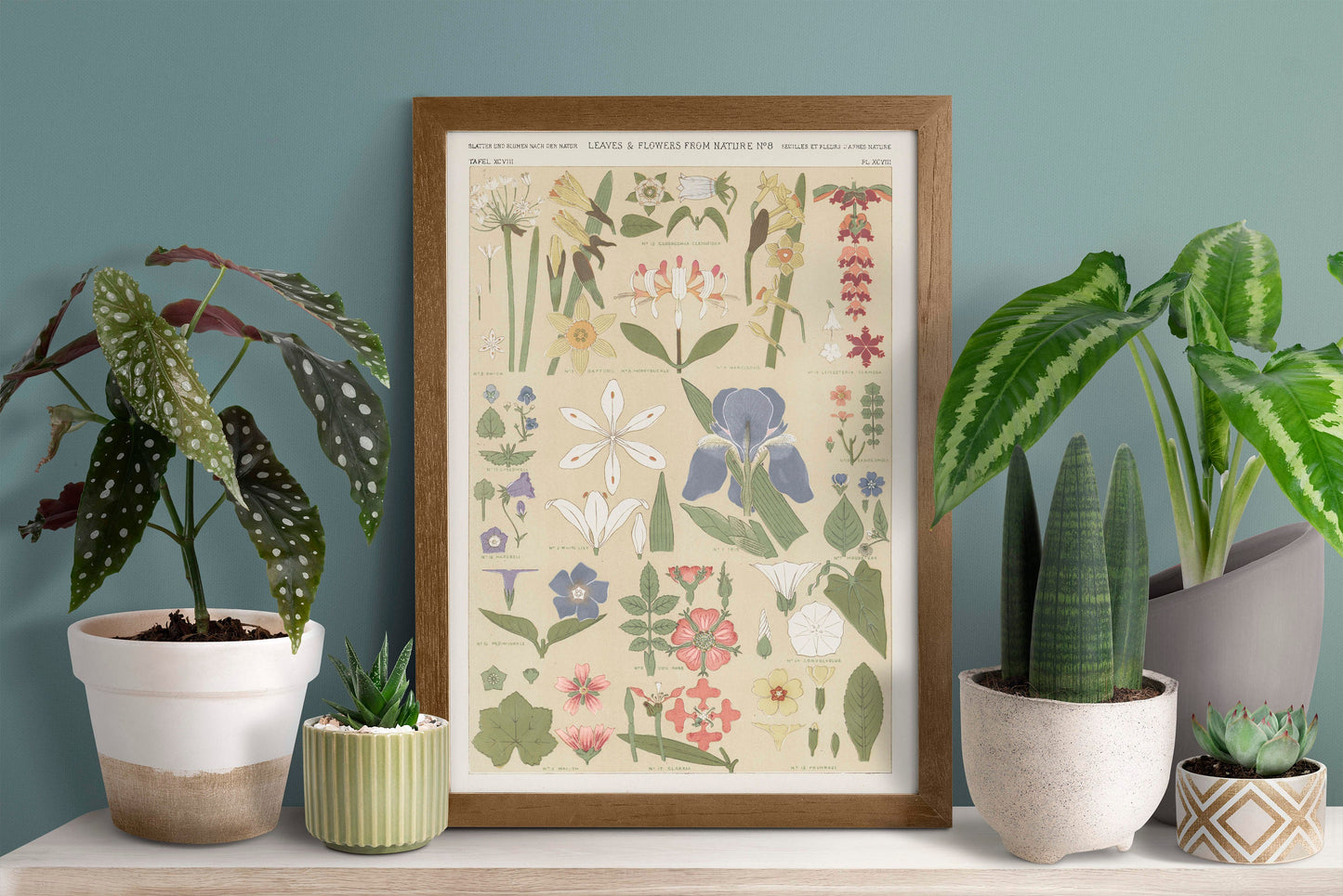 Leaves and Flowers Illustration  Print Poster Wall Hanging Decor