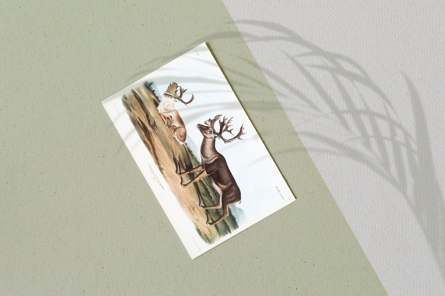 Reindeer Illustration Poster Print Wall Hanging Decor A4 A3 A2  .