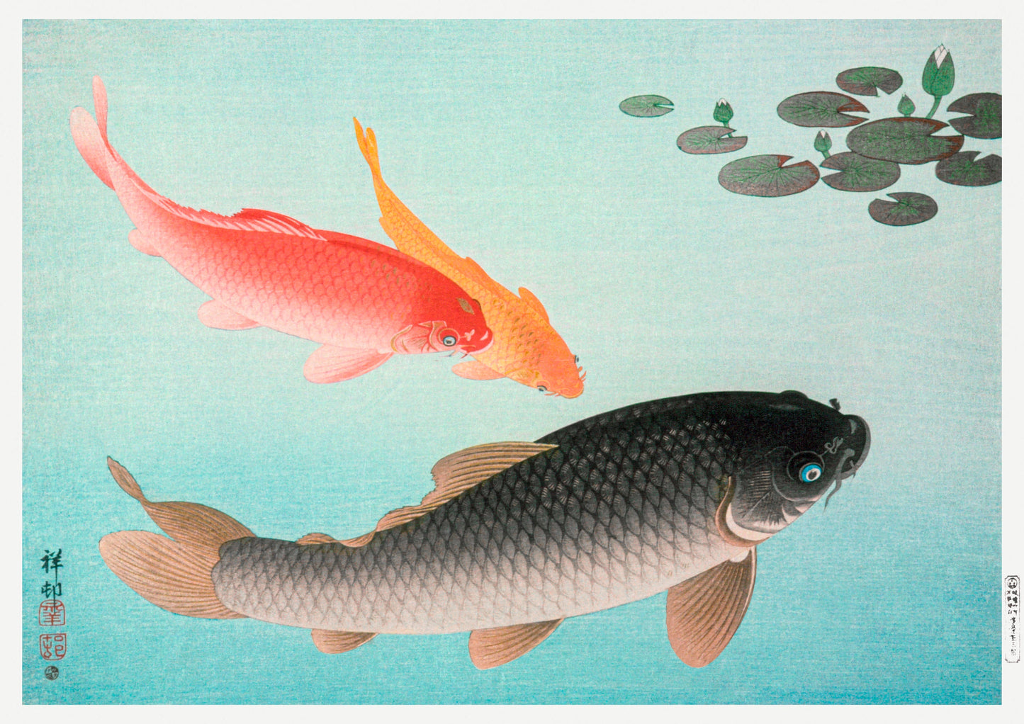 Common and Golden Carp by Ohara Koson Japanese Art Print Poster Wall Hanging Decor A4 A3 A2