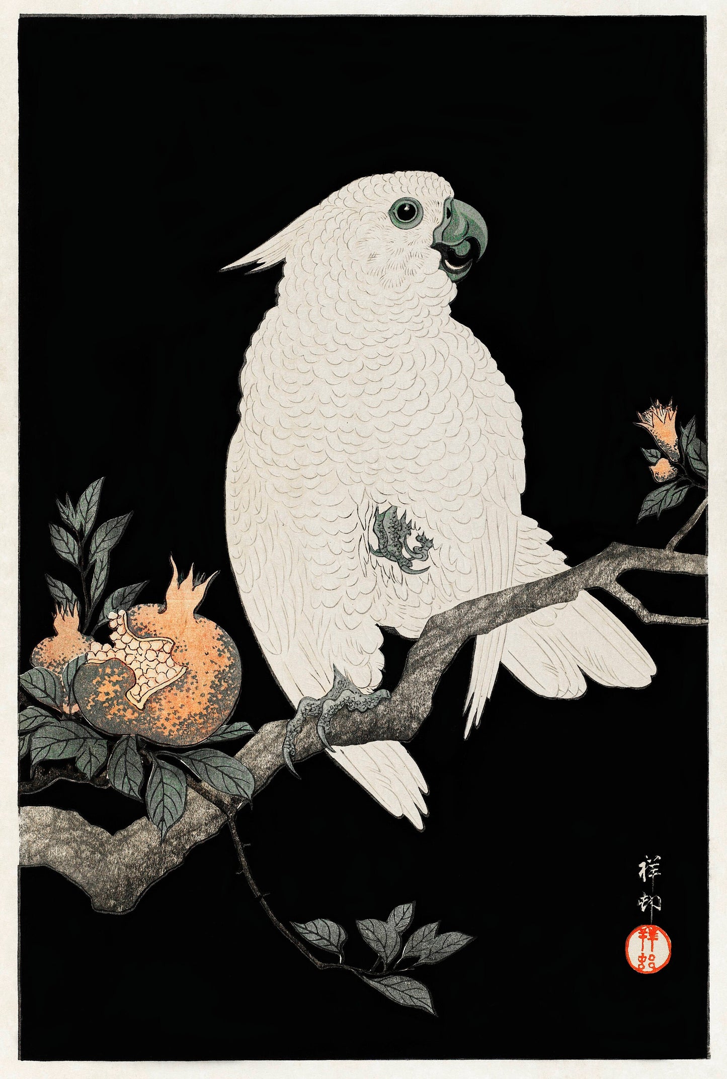 Cockatoo with pomegranate by Ohara Koson Japanese Art Print Poster Wall Hanging Decor A4 A3 A2