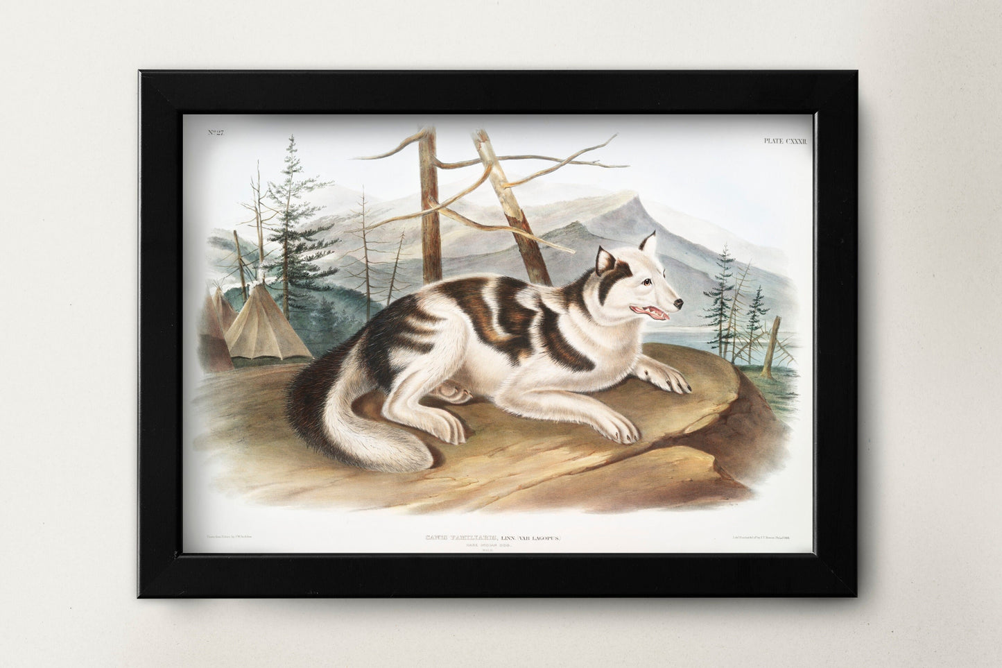 Hare-Indian Dog Illustration Poster Print Wall Hanging Decor A4 A3 A2