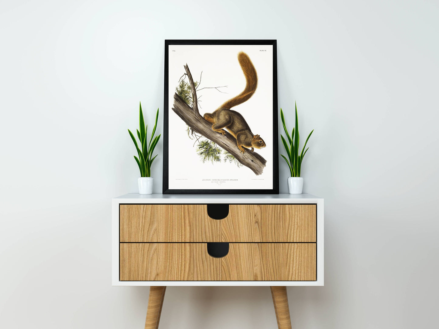 Red-tailed Squirrel Illustration Poster Print Wall Hanging Decor A4 A3 A2