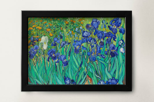 Irises  by Vincent Van Gogh Poster Illustration Print Wall Hanging Decor A4 A3 A2