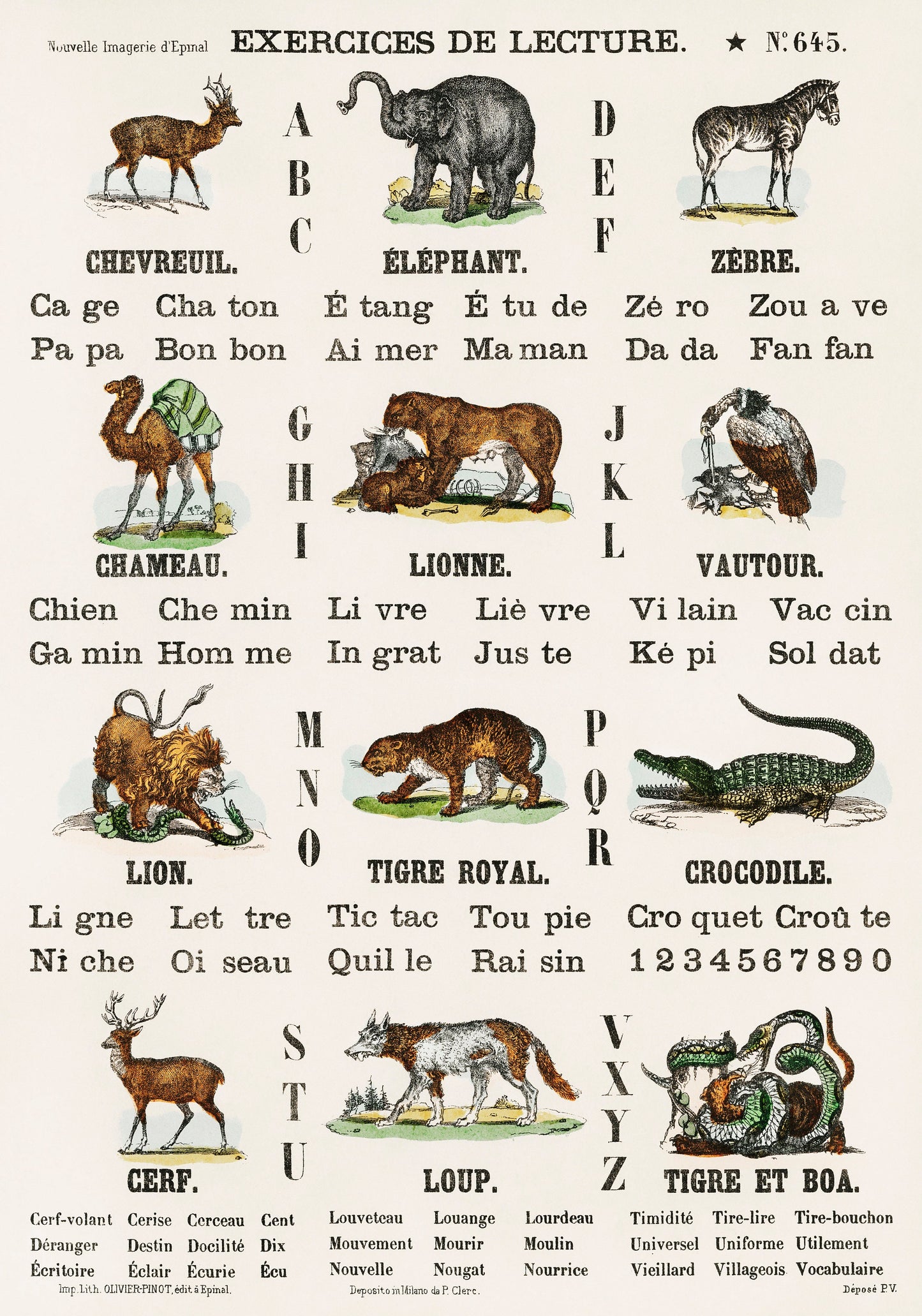 Alphabet Animals in French Illustration Poster Print Wall Hanging Decor A4 A3 A2