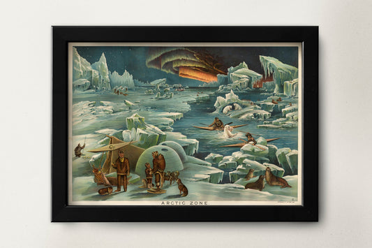 Artic Zone by Levi Walter Yaggy | Scientific Bedroom Poster | Boys Bedroom Poster | Educational science poster | North Pole Print | Kids Art