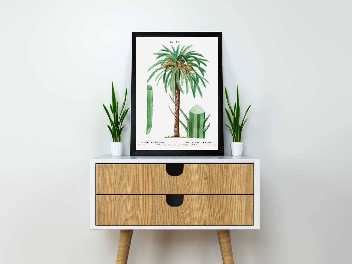 Palm Tree Art Print | Botanical Print | Tropical Wall Art | Botanical Art Poster | Palm Leaves Illustration | Date Palm Home Décor |