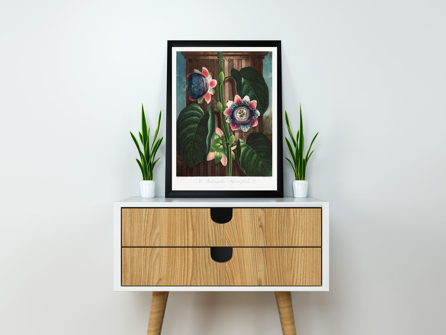 The Quadrangular Passion Flower | Botanical Print | Botanical Poster | Flower Print | Kitchen Wall Decor | Plant Decor | Flower Illustration