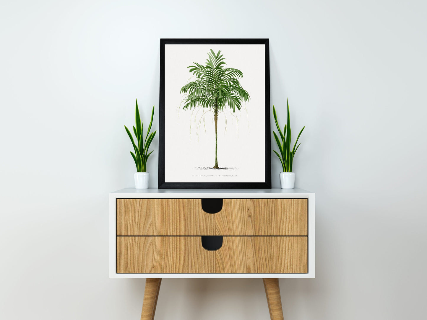 Vintage Palm Tree Illustration | Palm Tree Wall Art | Tropical Wall Art | Tropical Plant Prints | Office Wall Art | Palm Tree Posters